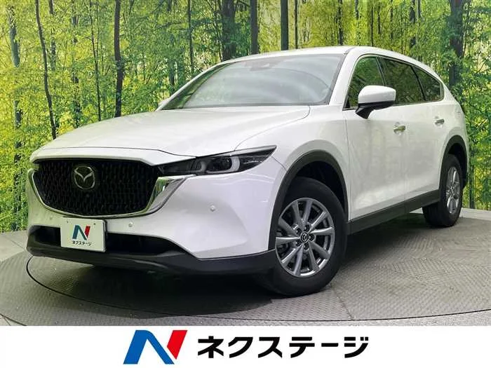 Mazda CX-8 2023 — миниатюра 4