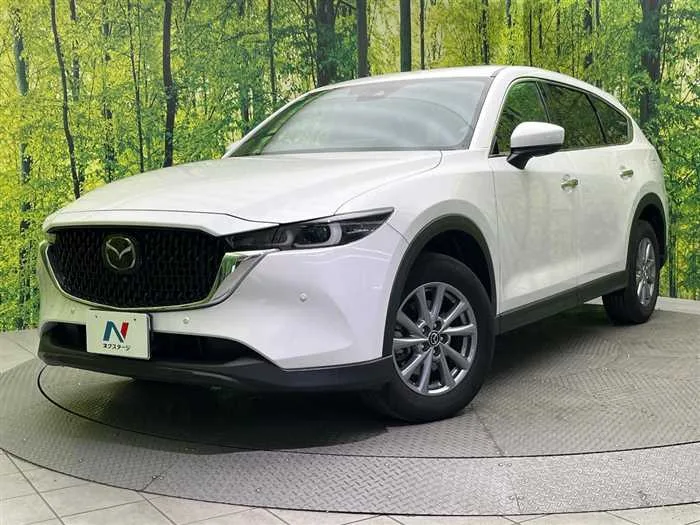Mazda CX-8 2023 — фото 1, купить с доставкой в Москву