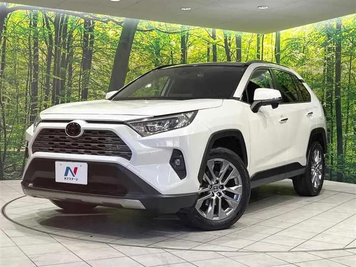 Toyota RAV4 2022 — фото 1, купить с доставкой в Москву