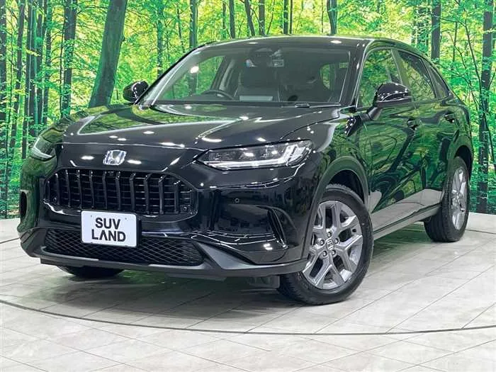 Honda Honda Others 2024 — фото 1, купить с доставкой в Москву