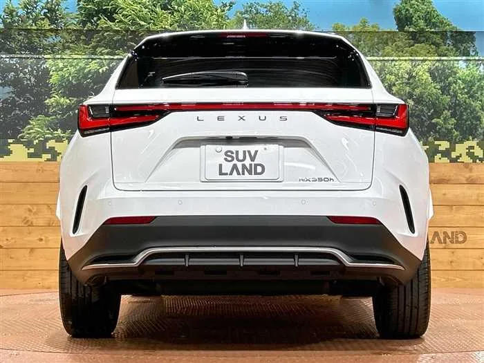 Lexus NX 2024 — миниатюра 5