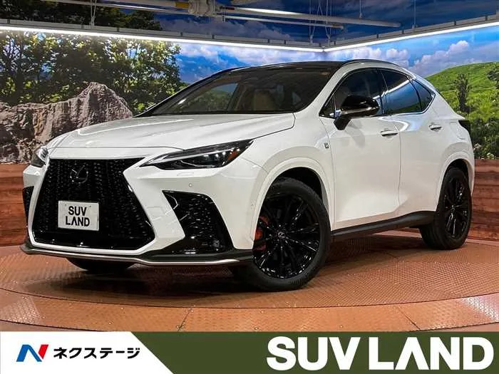 Lexus NX 2024 — миниатюра 4