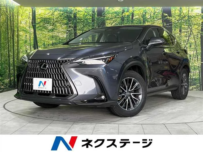 Lexus NX 2023 — миниатюра 4