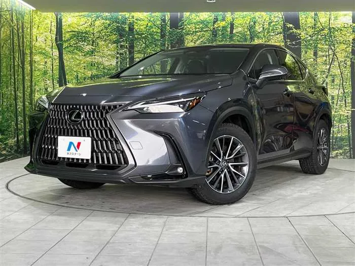 Lexus NX 2023 — фото 1, купить с доставкой в Москву