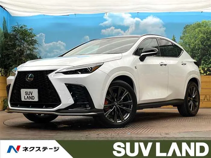 Lexus NX 2025 — миниатюра 4