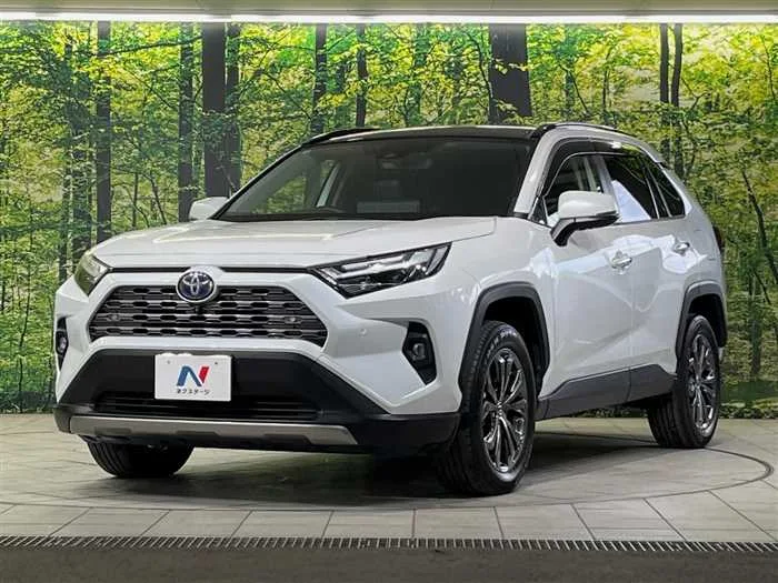 Toyota RAV4 2023 — фото 1, купить с доставкой в Москву