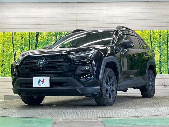 Toyota RAV4 2023 — миниатюра 2