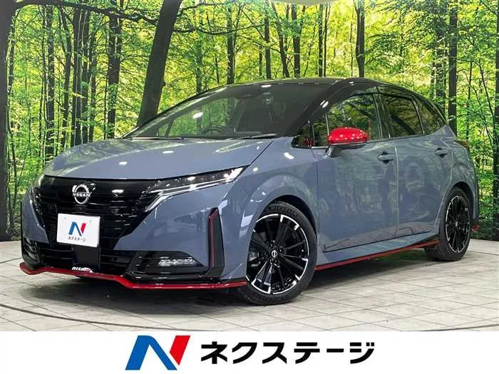 Nissan Nissan Others 2024 — миниатюра 4