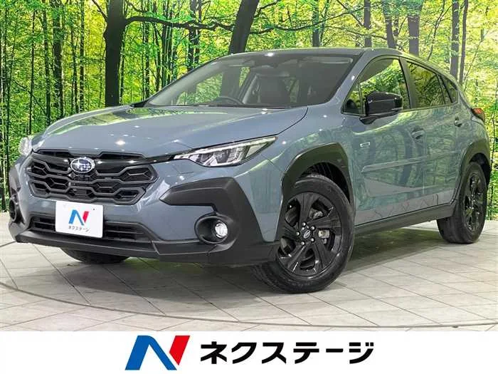Subaru Subaru Others 2023 — миниатюра 4