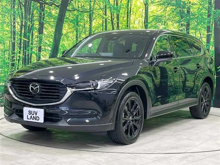 Mazda CX-8 2022 — миниатюра 5