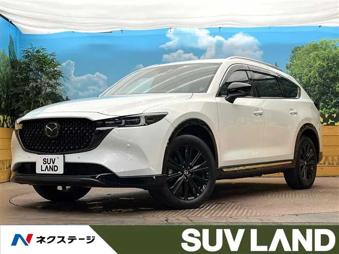 Mazda CX-8 2023 — миниатюра 4