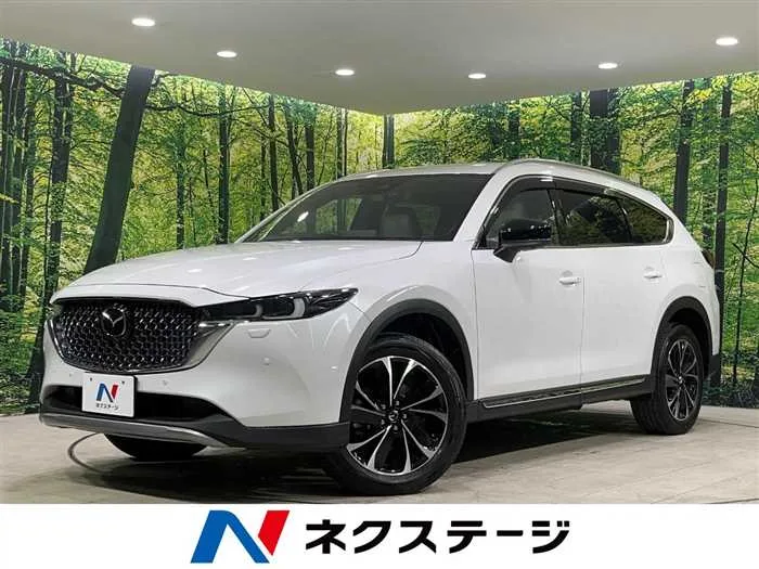 Mazda CX-8 2024 — миниатюра 4