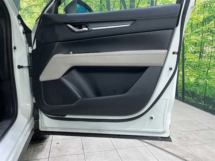 Mazda CX-8 2024 — миниатюра 5