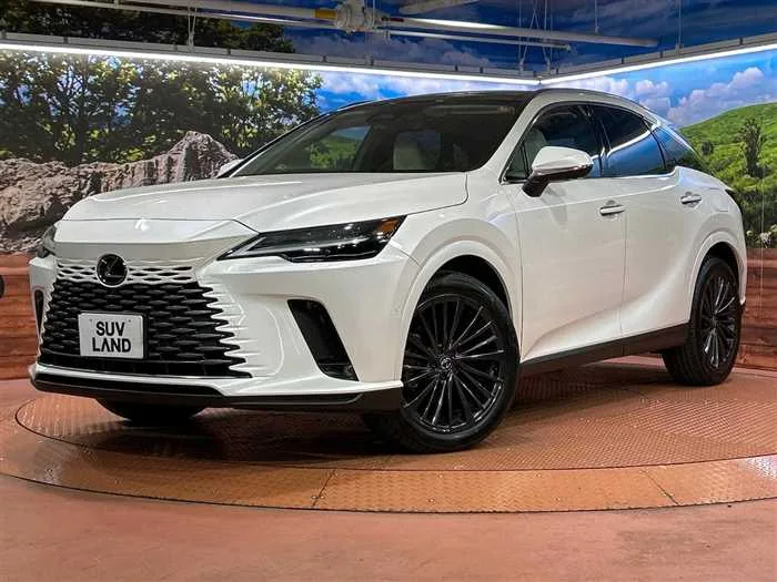 Lexus RX 2023 — фото 1, купить с доставкой в Москву