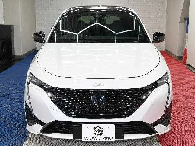 Peugeot Peugoet Others 2023 — миниатюра 2