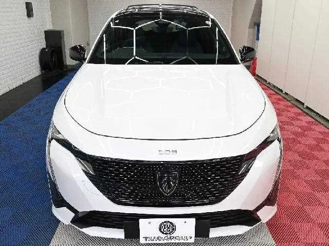 Peugeot Peugoet Others 2023 — миниатюра 2