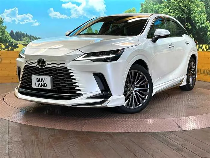 Lexus RX 2023 — фото 1, купить с доставкой в Москву