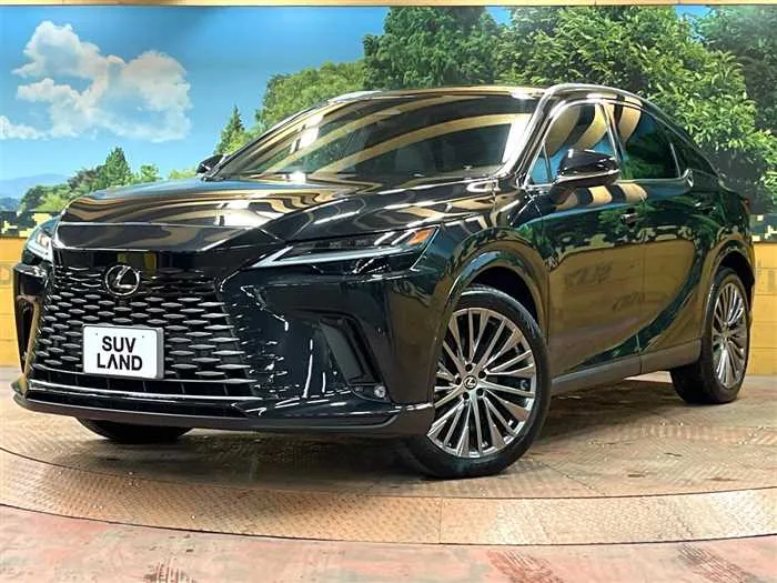 Lexus RX 2023 — фото 1, купить с доставкой в Москву