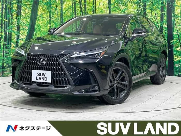 Lexus NX 2023 — миниатюра 4
