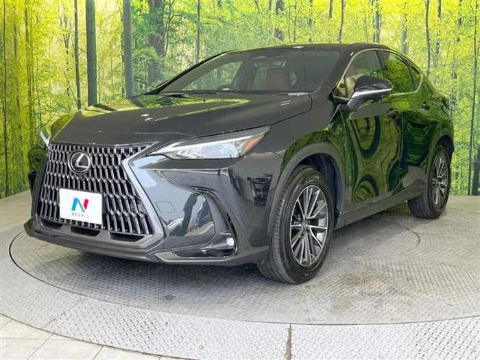 Lexus NX 2024 — миниатюра 2