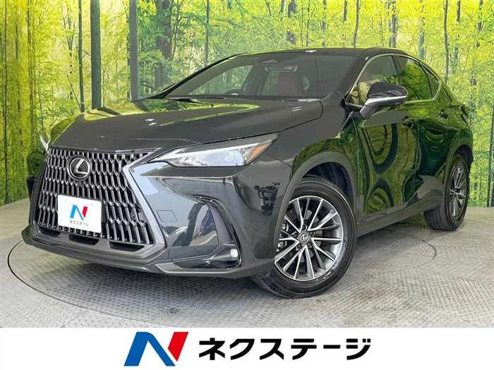 Lexus NX 2024 — миниатюра 4