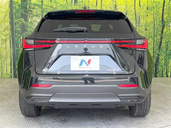 Lexus NX 2024 — миниатюра 5