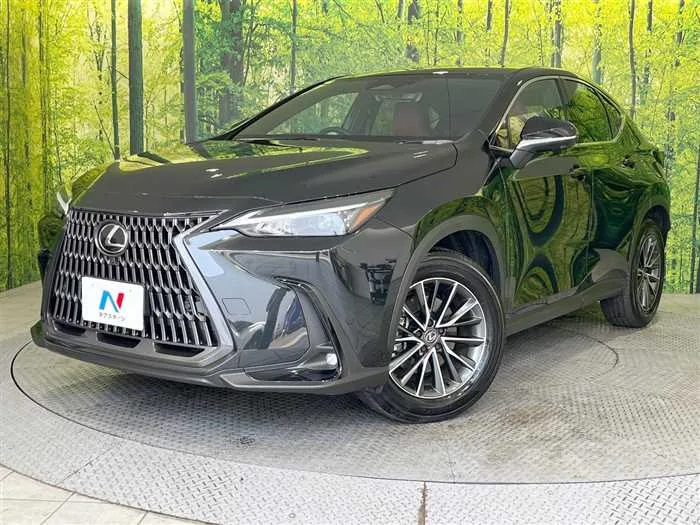 Lexus NX 2024 — фото 1, купить с доставкой в Москву