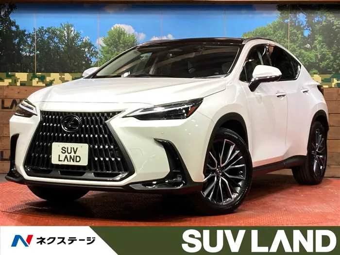 Lexus NX 2022 — миниатюра 4