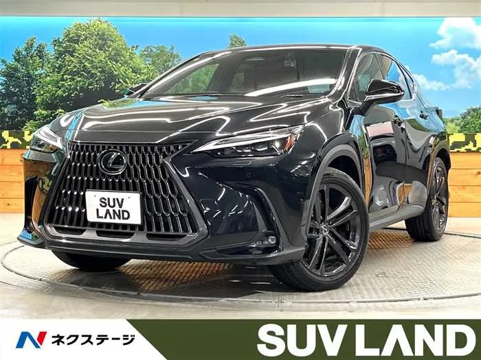 Lexus NX 2022 — миниатюра 4