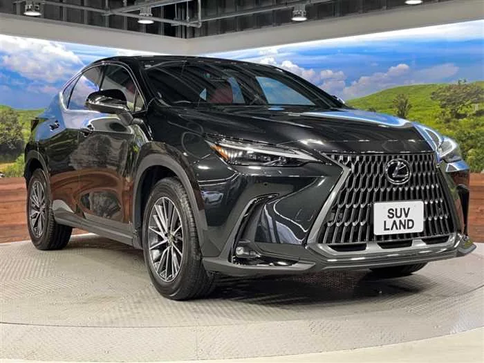 Lexus NX 2023 — миниатюра 5