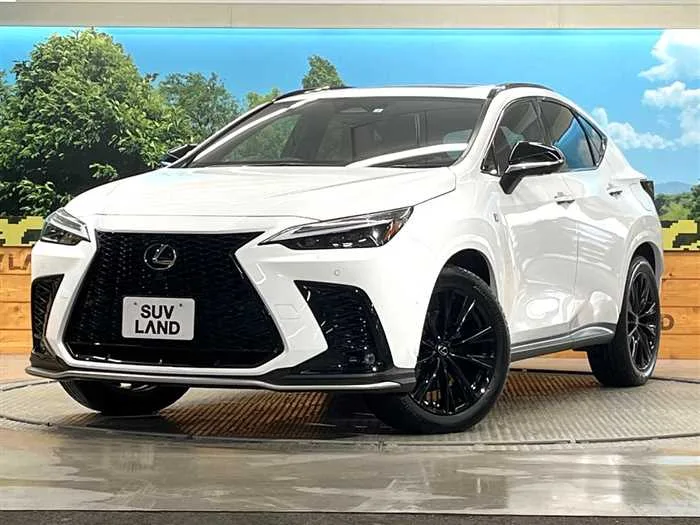 Lexus NX 2023 — фото 1, купить с доставкой в Москву