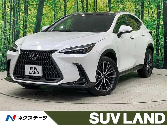 Lexus NX 2023 — миниатюра 4