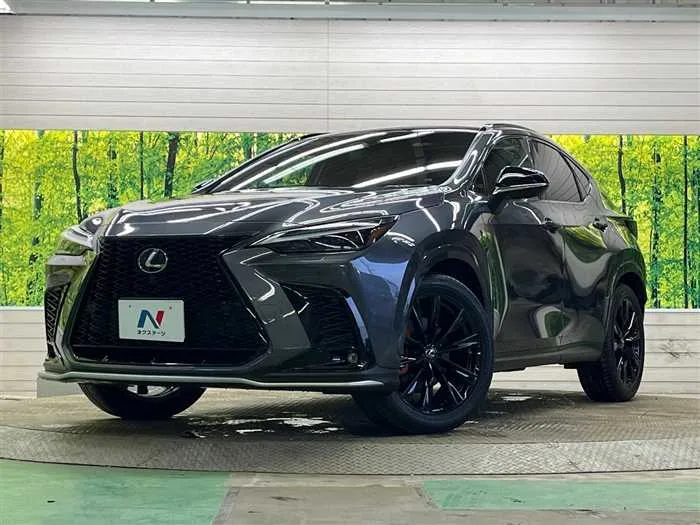 Lexus NX 2023 — фото 1, купить с доставкой в Москву