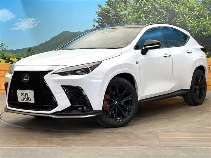 Lexus NX 2023 — фото 1, купить с доставкой в Москву