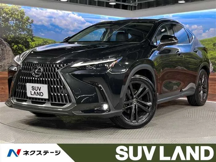 Lexus NX 2023 — миниатюра 4