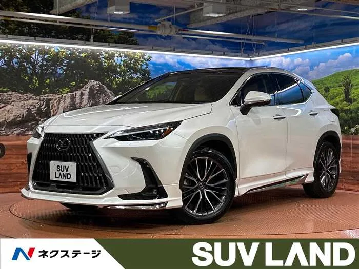 Lexus NX 2024 — миниатюра 4