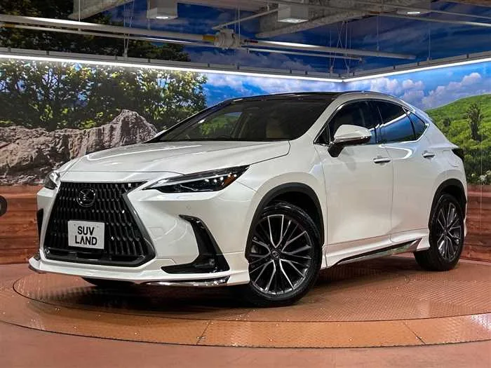 Lexus NX 2024 — фото 1, купить с доставкой в Москву