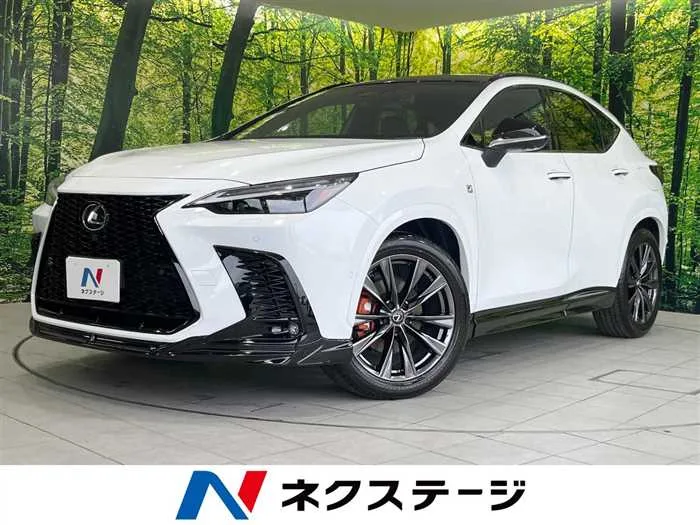Lexus NX 2024 — миниатюра 4