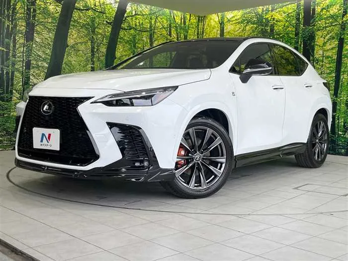 Lexus NX 2024 — фото 1, купить с доставкой в Москву