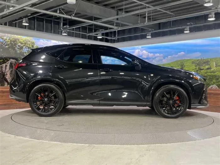 Lexus NX 2024 — миниатюра 3