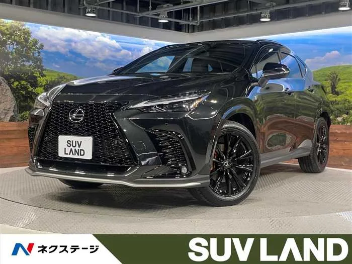 Lexus NX 2024 — миниатюра 4