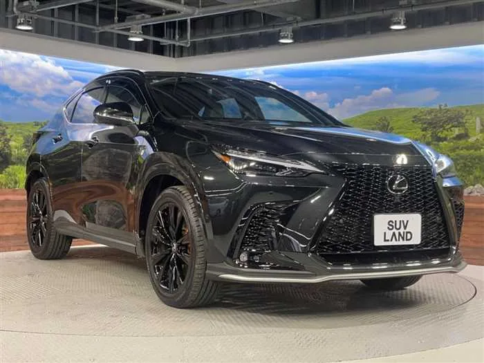 Lexus NX 2024 — миниатюра 5