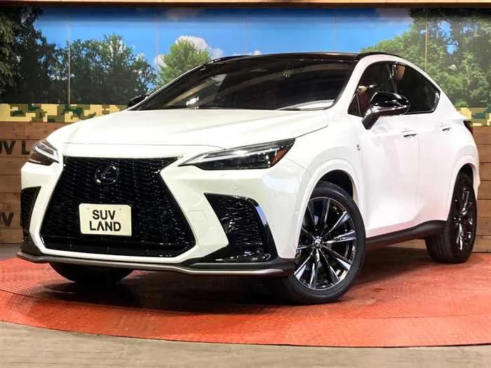 Lexus NX 2022 — фото 1, купить с доставкой в Москву
