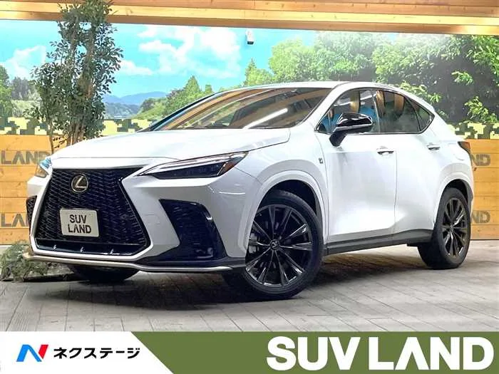Lexus NX 2023 — фото 1, купить с доставкой в Москву