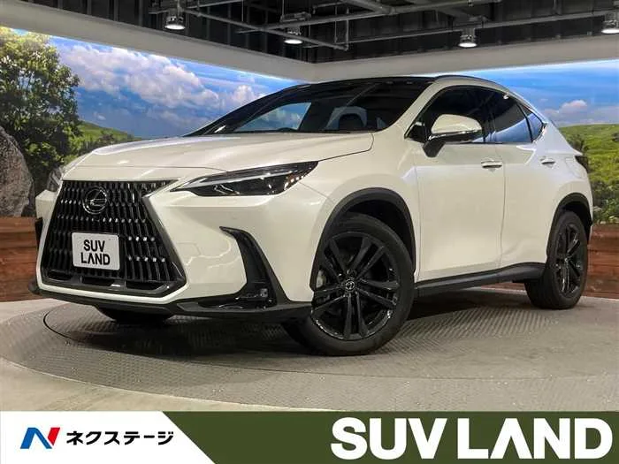 Lexus NX 2023 — миниатюра 4