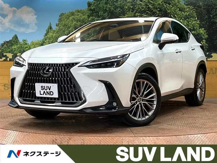 Lexus NX 2023 — миниатюра 4