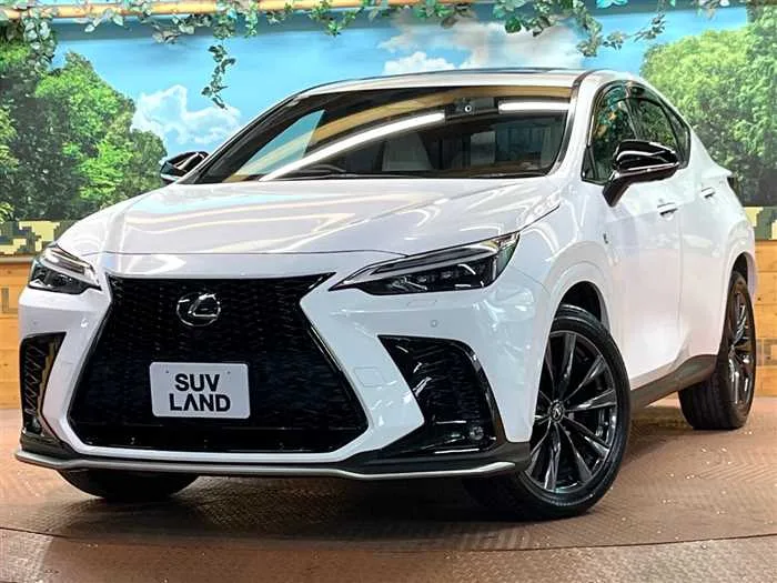 Lexus NX 2022 — фото 1, купить с доставкой в Москву