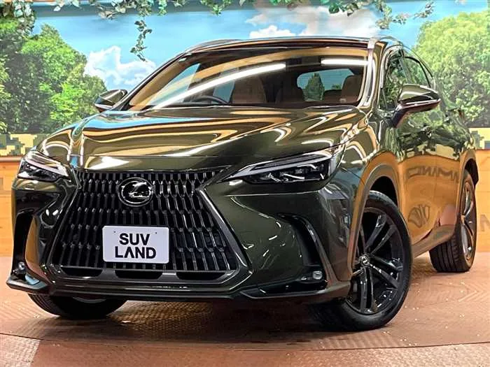 Lexus NX 2023 — фото 1, купить с доставкой в Москву
