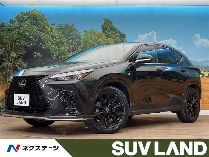 Lexus NX 2024 — миниатюра 4