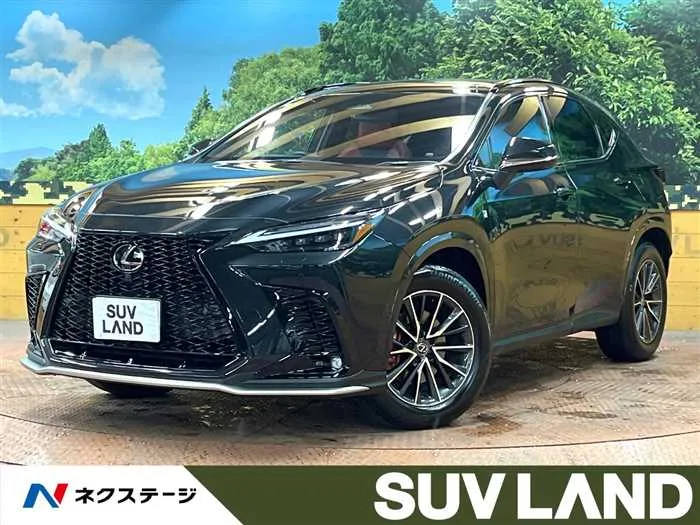 Lexus NX 2024 — миниатюра 4